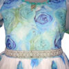 Cinderella Princess Gown