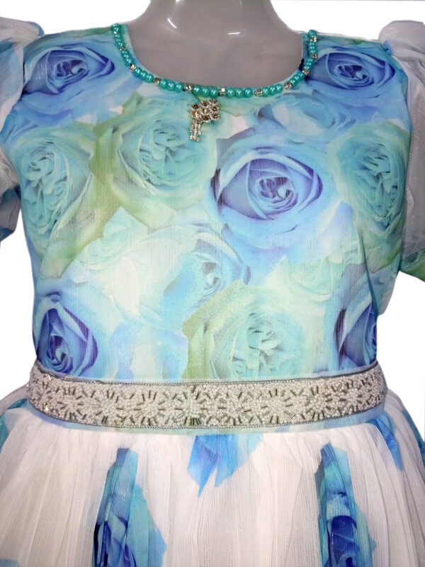 Cinderella Princess Gown