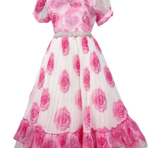 Cinderella Ball Gown