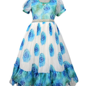 Cinderella Princess Gown